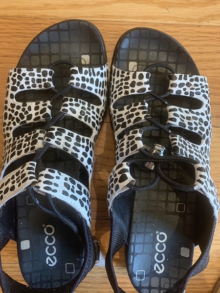 Leoopard Spotted Sanal